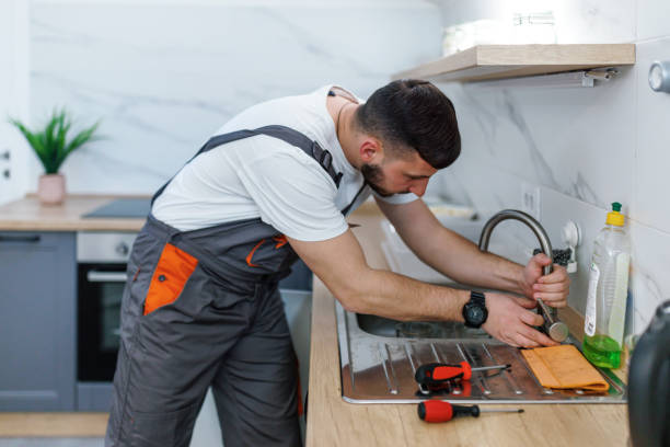 Best Local Plumber Services  in Colchester, IL