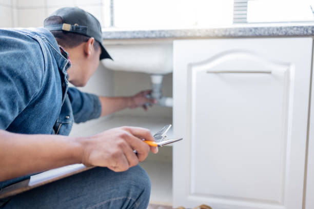 Best Clogged Drain Plumber  in Colchester, IL