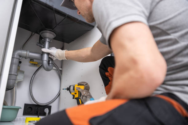 Best Clogged Drain Plumber  in Colchester, IL