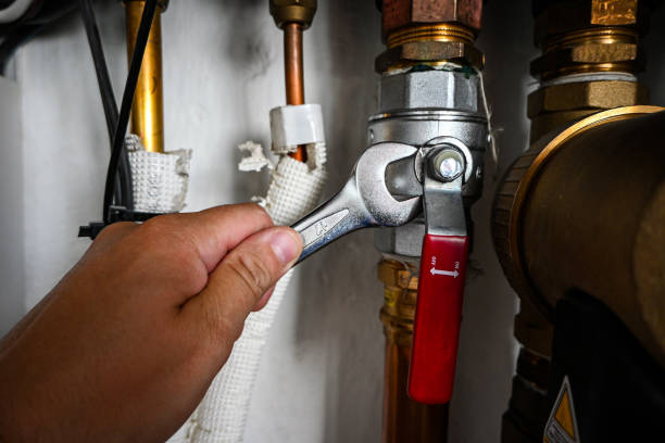 Best Commercial Plumbing Services  in Colchester, IL